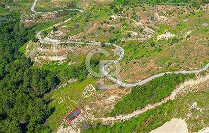 Kuşadası Soğucak’ta 306,44m² Satılık Konut İmarlı Arsa!