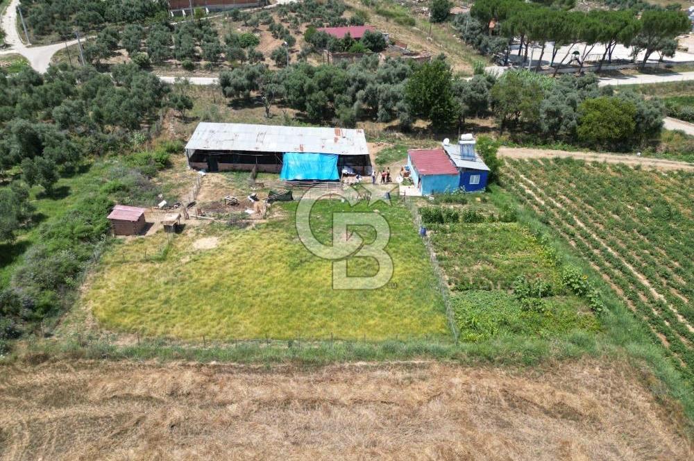 İzmir Tire’de 1520 m²  Tarla  