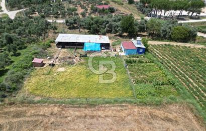 İzmir Tire’de 1520 m²  Tarla  
