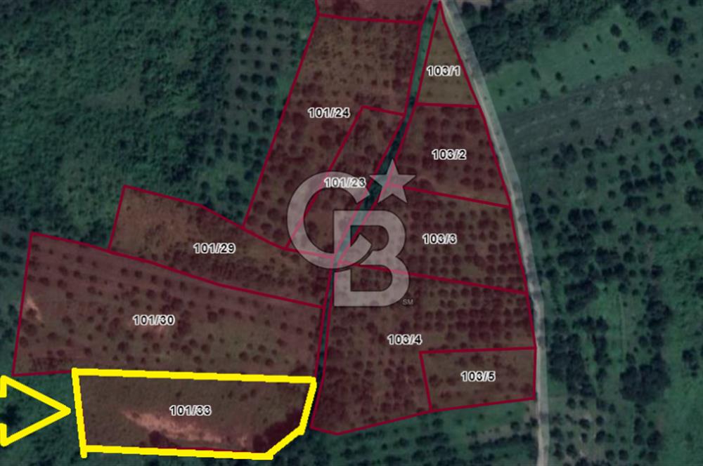Kartepe Y.Eşme de Yola Cephe Satılık Takasa Uygun Tarla