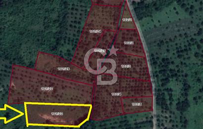 Kartepe Y.Eşme de Yola Cephe Satılık Takasa Uygun Tarla
