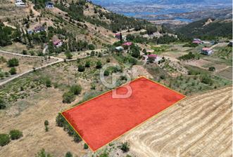 COLDWELL BANKER'DEN SAYGILI'DA SATILIK TARLA (2785 m2)
