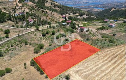 COLDWELL BANKER'DEN SAYGILI'DA SATILIK TARLA (2785 m2)