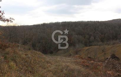 Kartepe Y.Eşme de Yola Cephe Satılık Takasa Uygun Tarla