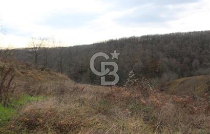 Kartepe Y.Eşme de Yola Cephe Satılık Takasa Uygun Tarla