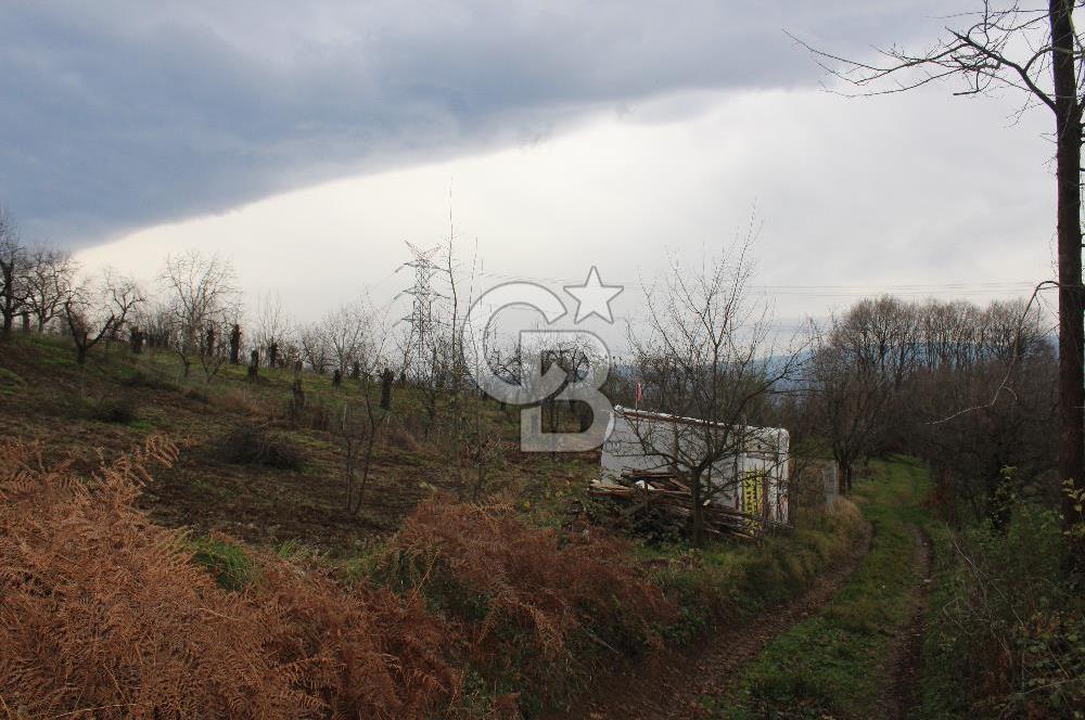 Kartepe Y.Eşme de Yola Cephe Satılık Takasa Uygun Tarla
