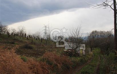 Kartepe Y.Eşme de Yola Cephe Satılık Takasa Uygun Tarla