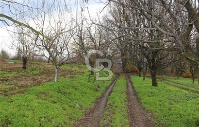Kartepe Y.Eşme de Yola Cephe Satılık Takasa Uygun Tarla