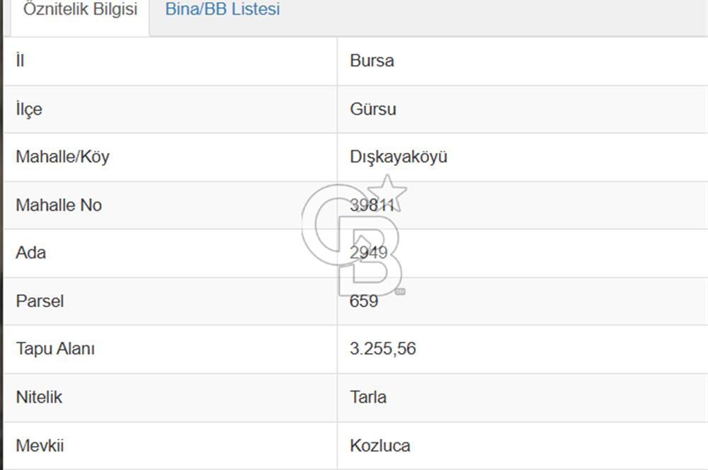 CB AMBİANCE'DAN DIŞKAYA'DA SATILIK TOKİ YAKININDA HİSSELİ TARLA