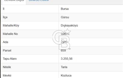 CB AMBİANCE'DAN DIŞKAYA'DA SATILIK TOKİ YAKININDA HİSSELİ TARLA