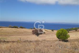 Güneyli De Full Deniz Manzaralı Yola Cephe Satılık Arsa