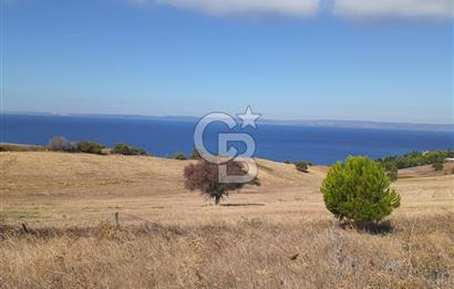 Güneyli De Full Deniz Manzaralı Yola Cephe Satılık Arsa