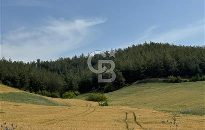 Hatay Arsuz da Müstakil İmarlı Arsa