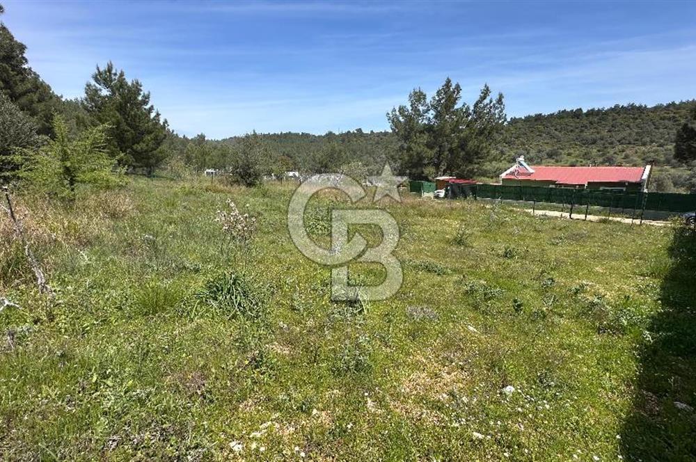 URLA ZEYTİNLER YEŞİLÇİZGİ SİTESİNDE YOL CEPHELİ SATILIK ARSA