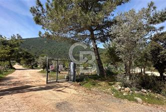 URLA ZEYTİNLER YEŞİLÇİZGİ SİTESİNDE YOL CEPHELİ SATILIK ARSA