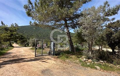 URLA ZEYTİNLER YEŞİLÇİZGİ SİTESİNDE YOL CEPHELİ SATILIK ARSA