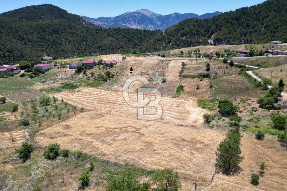 COLDWELL BANKER'DEN SAYGILI'DA SATILIK TARLA (2785 m2)