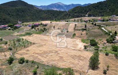 COLDWELL BANKER'DEN SAYGILI'DA SATILIK TARLA (2785 m2)