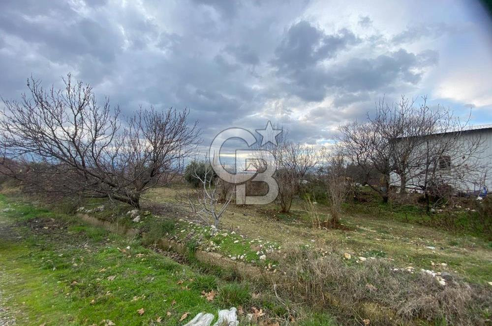 Pamukkale Yeniköy Girişinde 849M² Satılık Köy içi imarlı Tarla 