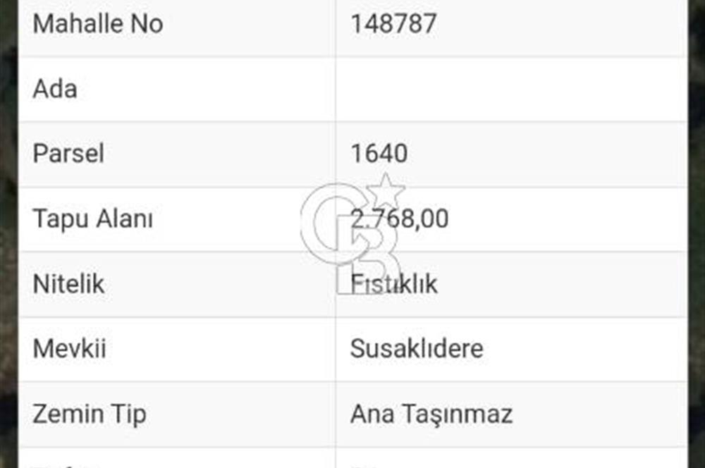 İZMİR BERGAMA'DA DOĞA İÇİNDE KAZANDIRAN YATIRIM FIRSATLI FISTIKLIK