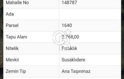 İZMİR BERGAMA'DA DOĞA İÇİNDE KAZANDIRAN YATIRIM FIRSATLI FISTIKLIK