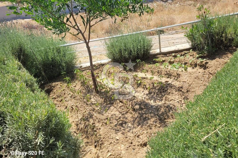 YENİFOÇA'DA KİRALIK GENİŞ 1+1 HAVUZLU DAİRE