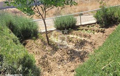 YENİFOÇA'DA KİRALIK GENİŞ 1+1 HAVUZLU DAİRE