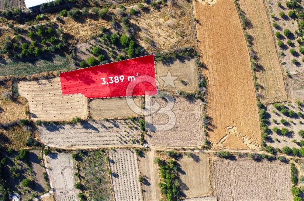 Korkuteli Bozova’da Kadstral Yola 50 m 3.389 m² Satılık Bahçe