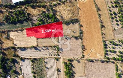 Korkuteli Bozova’da Kadstral Yola 50 m 3.389 m² Satılık Bahçe