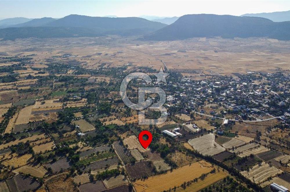 Korkuteli Bozova’da Kadstral Yola 50 m 3.389 m² Satılık Bahçe