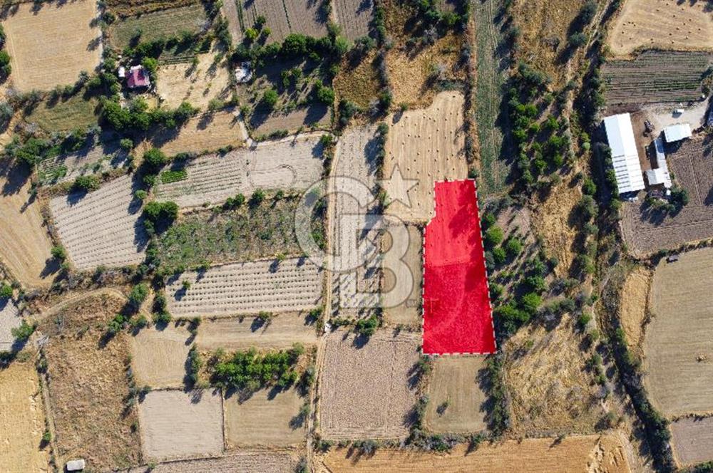 Korkuteli Bozova’da Kadstral Yola 50 m 3.389 m² Satılık Bahçe