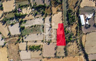 Korkuteli Bozova’da Kadstral Yola 50 m 3.389 m² Satılık Bahçe