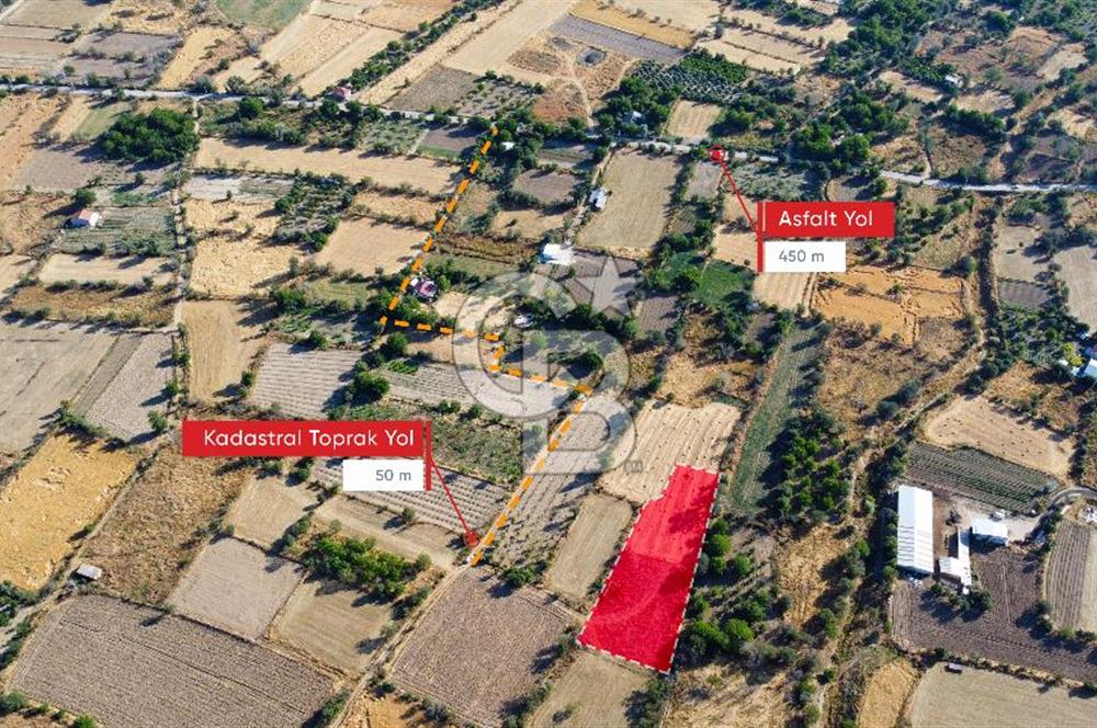 Korkuteli Bozova’da Kadstral Yola 50 m 3.389 m² Satılık Bahçe