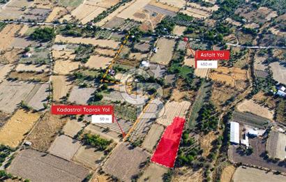 Korkuteli Bozova’da Kadstral Yola 50 m 3.389 m² Satılık Bahçe