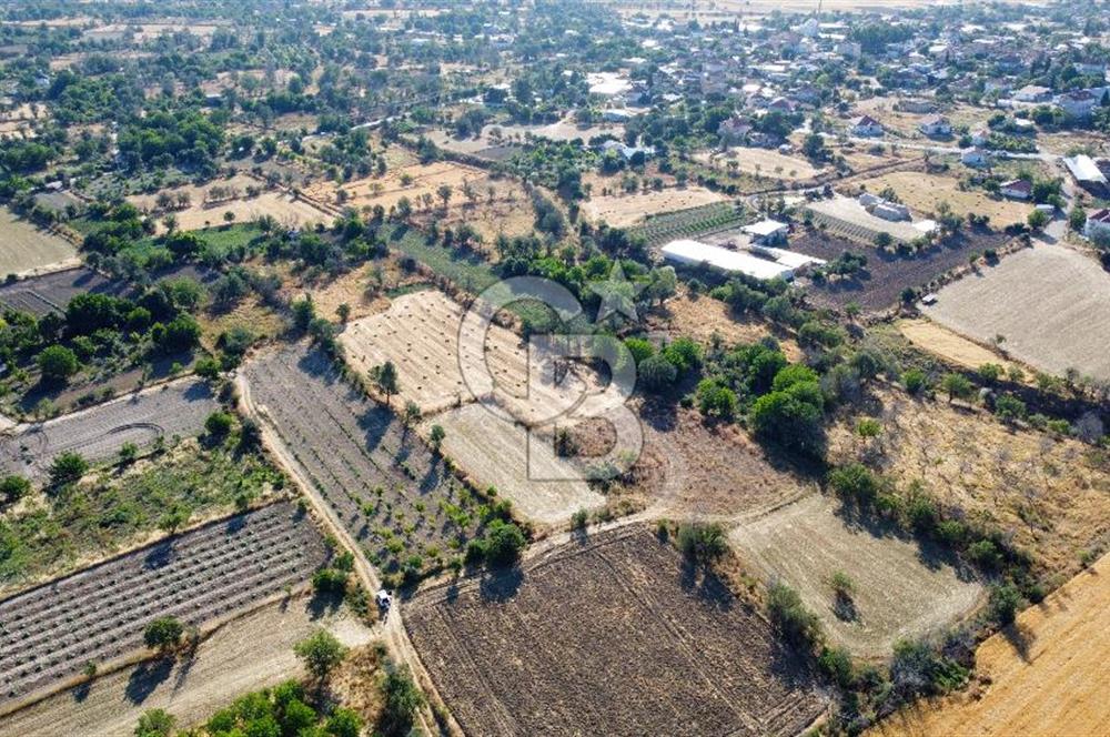 Korkuteli Bozova’da Kadstral Yola 50 m 3.389 m² Satılık Bahçe