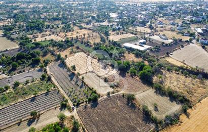 Korkuteli Bozova’da Kadstral Yola 50 m 3.389 m² Satılık Bahçe