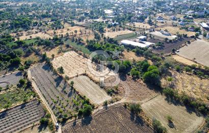 Korkuteli Bozova’da Kadstral Yola 50 m 3.389 m² Satılık Bahçe