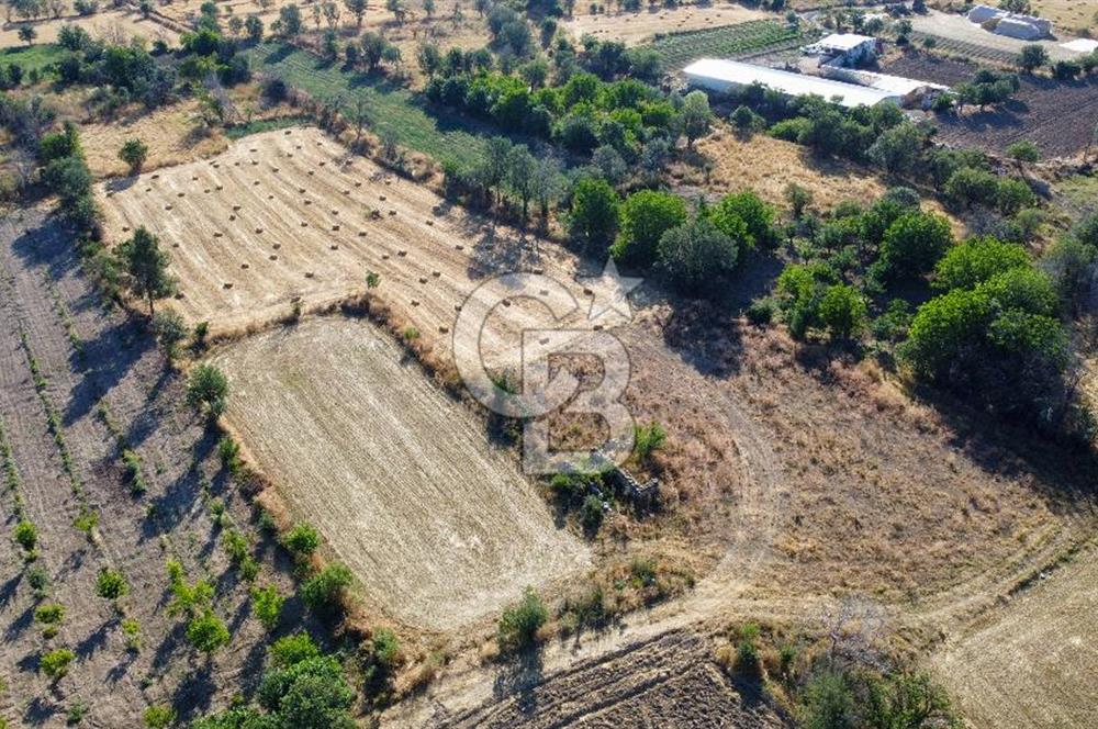 Korkuteli Bozova’da Kadstral Yola 50 m 3.389 m² Satılık Bahçe