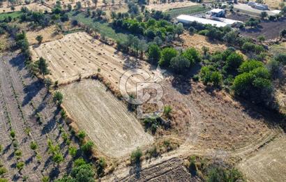Korkuteli Bozova’da Kadstral Yola 50 m 3.389 m² Satılık Bahçe