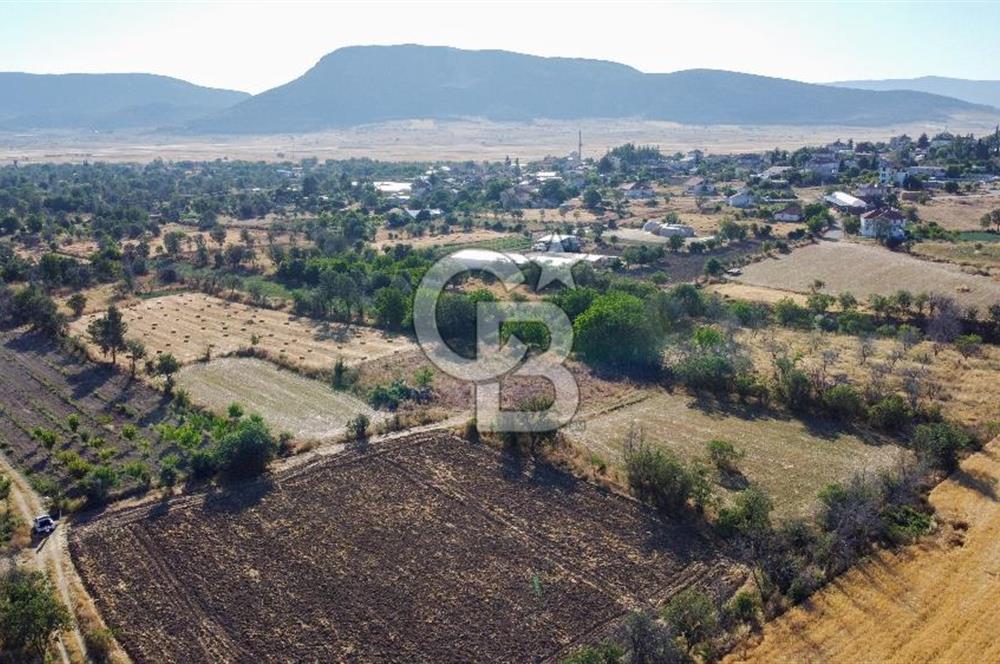 Korkuteli Bozova’da Kadstral Yola 50 m 3.389 m² Satılık Bahçe