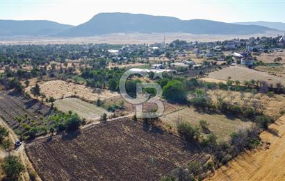 Korkuteli Bozova’da Kadstral Yola 50 m 3.389 m² Satılık Bahçe