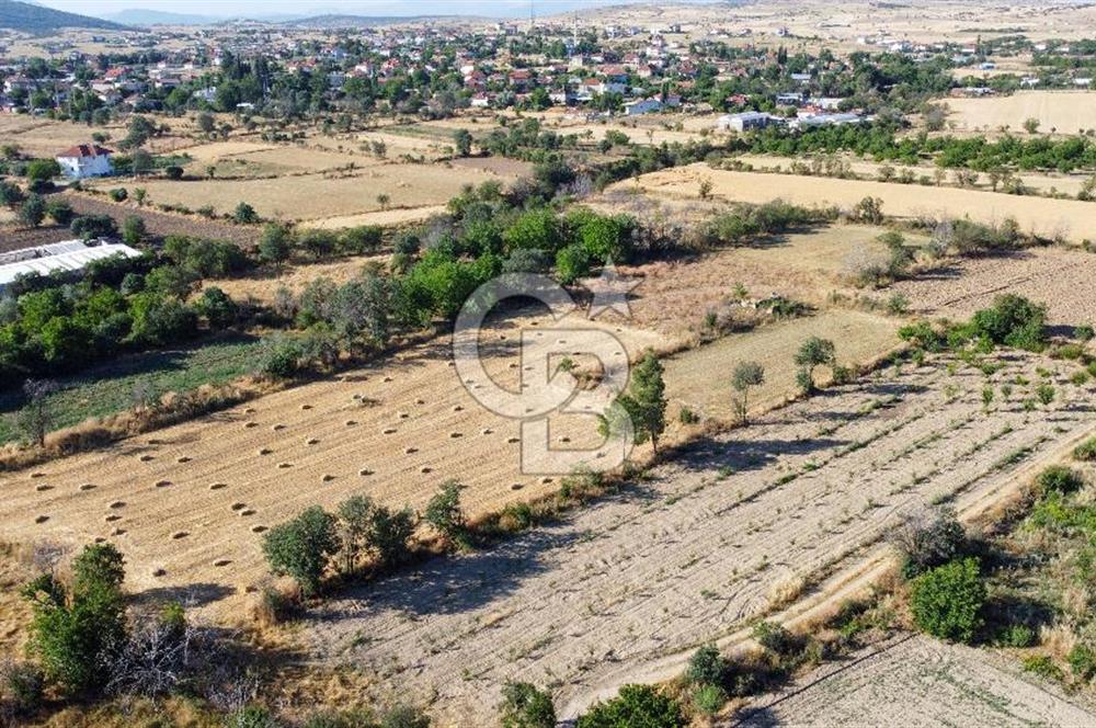 Korkuteli Bozova’da Kadstral Yola 50 m 3.389 m² Satılık Bahçe