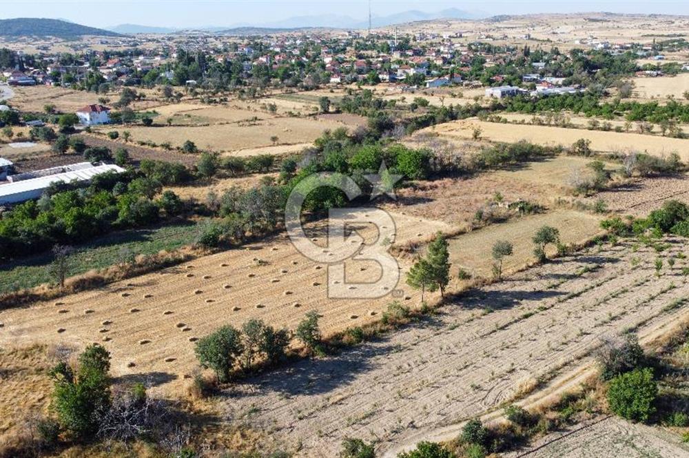 Korkuteli Bozova’da Kadstral Yola 50 m 3.389 m² Satılık Bahçe
