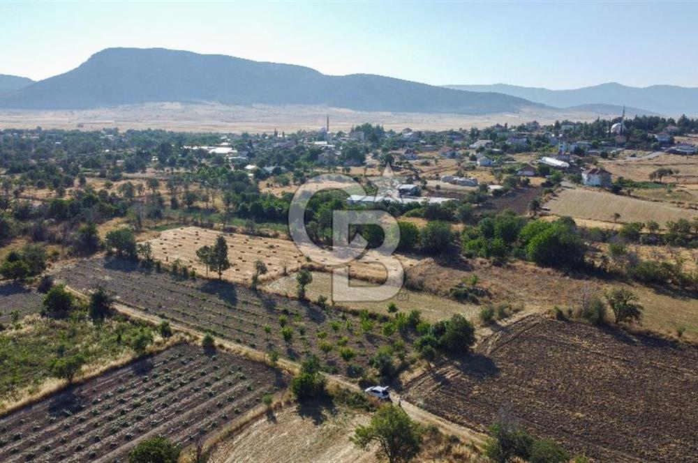 Korkuteli Bozova’da Kadstral Yola 50 m 3.389 m² Satılık Bahçe