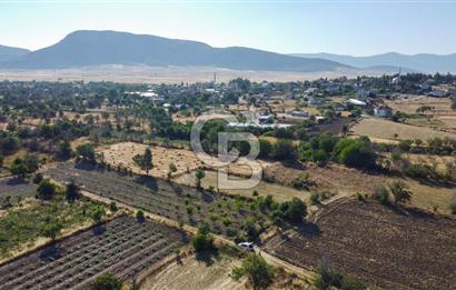 Korkuteli Bozova’da Kadstral Yola 50 m 3.389 m² Satılık Bahçe