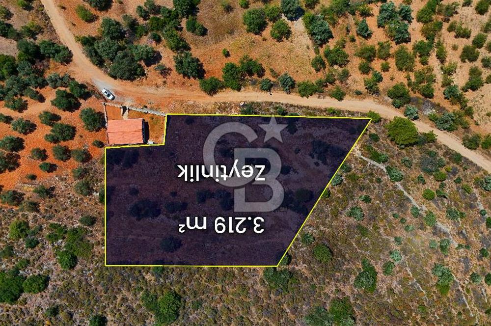DATÇA – PALAMUTBÜKÜ’NDE KAÇIRILMAYACAK YATIRIM FIRSATI!
