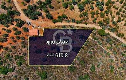 DATÇA – PALAMUTBÜKÜ’NDE KAÇIRILMAYACAK YATIRIM FIRSATI!