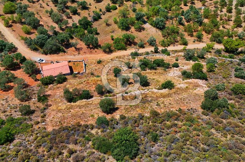DATÇA – PALAMUTBÜKÜ’NDE KAÇIRILMAYACAK YATIRIM FIRSATI!