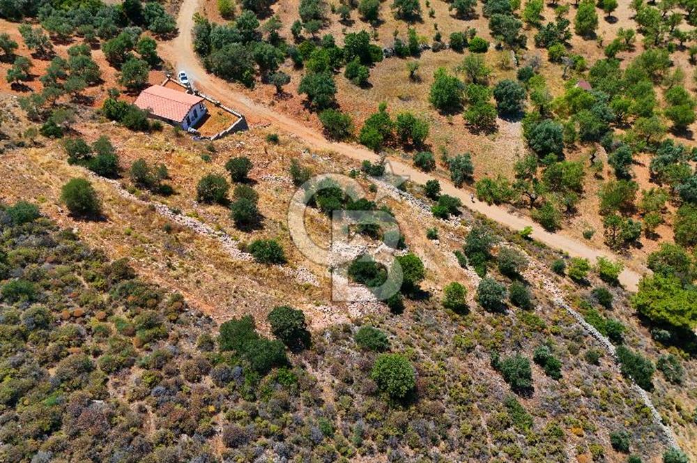 DATÇA – PALAMUTBÜKÜ’NDE KAÇIRILMAYACAK YATIRIM FIRSATI!