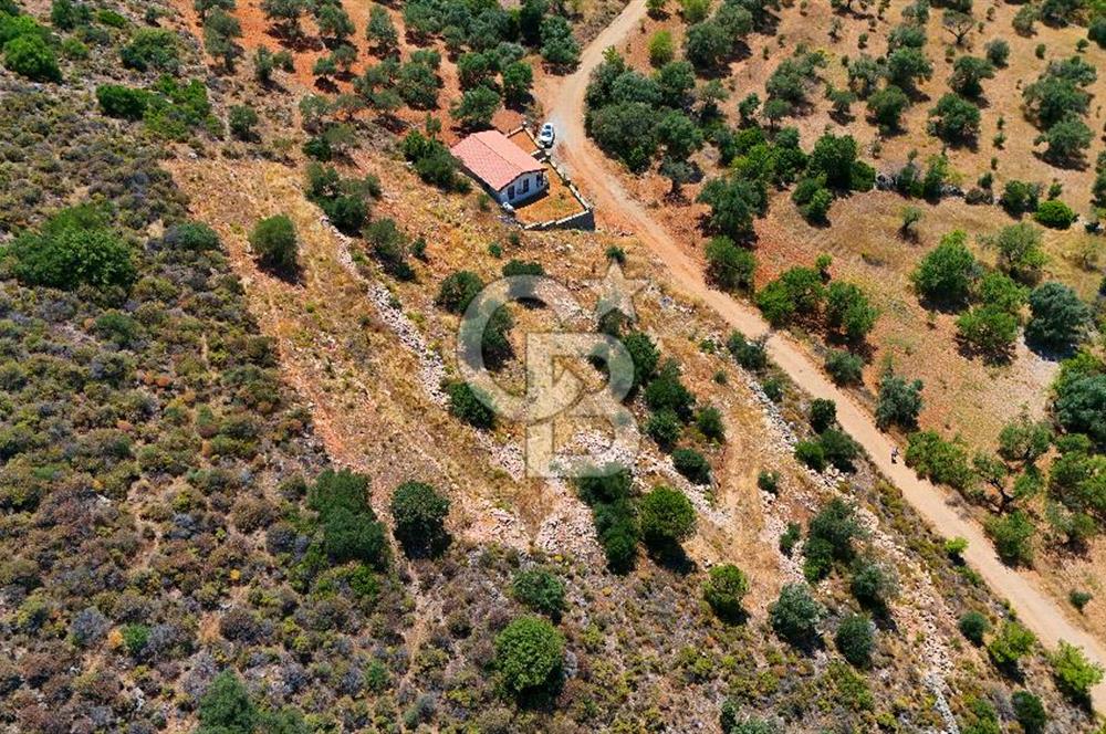 DATÇA – PALAMUTBÜKÜ’NDE KAÇIRILMAYACAK YATIRIM FIRSATI!